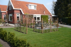 P1000157
