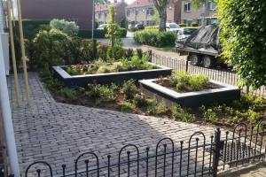 tuin