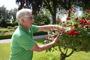 hoveniersbedrijf-breukelen-onderhoud-tuinen-4-1