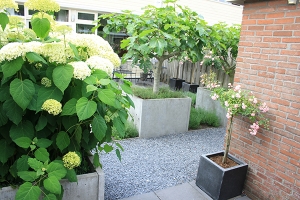 Tuin-Woerden-111